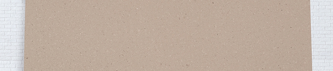 4230 Shitake Caesarstone zoom